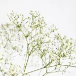 Qualità dell’aria a Costa di Rovigo: i risultati della campagna Arpav 2025