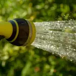 Come regolare l’irrigazione in base alle stagioni: guida pratica per un uso efficiente dell’acqua