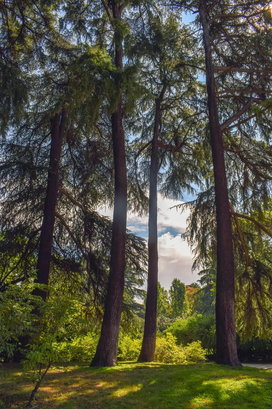 Parco Guizza, inaugurazione il 10 aprile: nuovo spazio verde da 7 ettari per la città