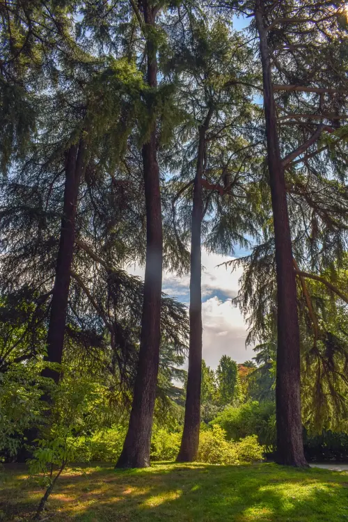 Parco Guizza, inaugurazione il 10 aprile: nuovo spazio verde da 7 ettari per la città