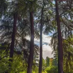 Parco Guizza, inaugurazione il 10 aprile: nuovo spazio verde da 7 ettari per la città