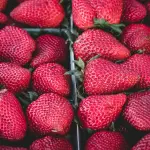 Rapporto sano con il cibo: costruire equilibrio senza rigidità