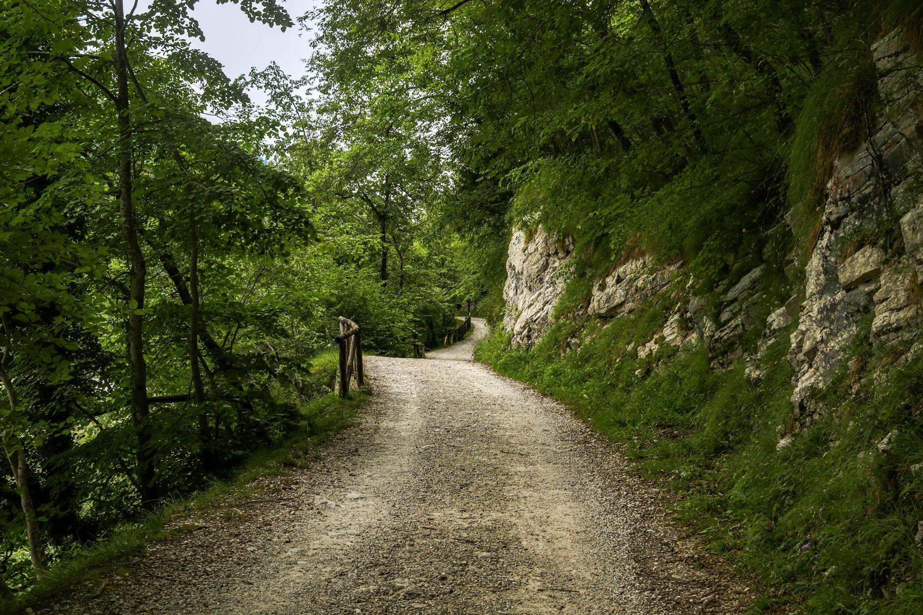 Cammino Rigoni Stern, il Veneto riconosce un itinerario tra memoria e paesaggio