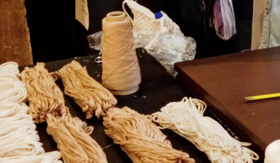 Padova, presentazione della mostra “Mầm. Intrecci gentili”