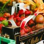 Agricoltura veneta, Stefani incontra i giovani Coldiretti
