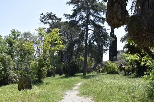 Piante storiche dell'Orto Botanico di Padova