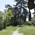 Piante storiche dell'Orto Botanico di Padova