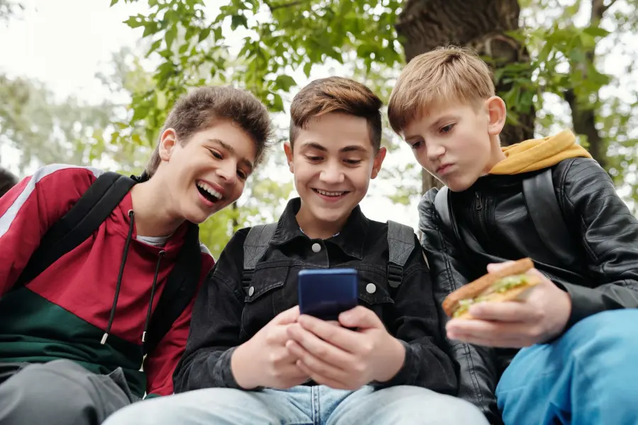 Veneto, Stefani rilancia lo stop ai social per gli under 14