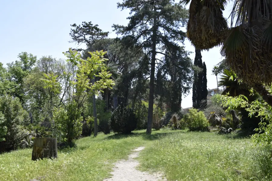 Orto Botanico Padova UNESCO: storia e significato