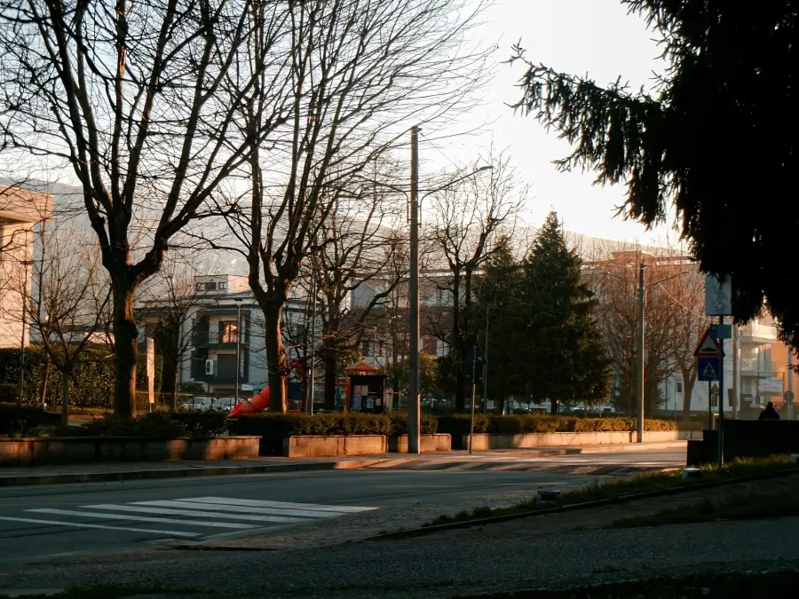 Padova, Comune replica a Mosco: “Oltre 78mila alberi”