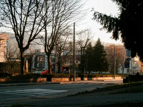 Padova, Comune replica a Mosco: “Oltre 78mila alberi”