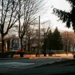 Padova, Comune replica a Mosco: “Oltre 78mila alberi”