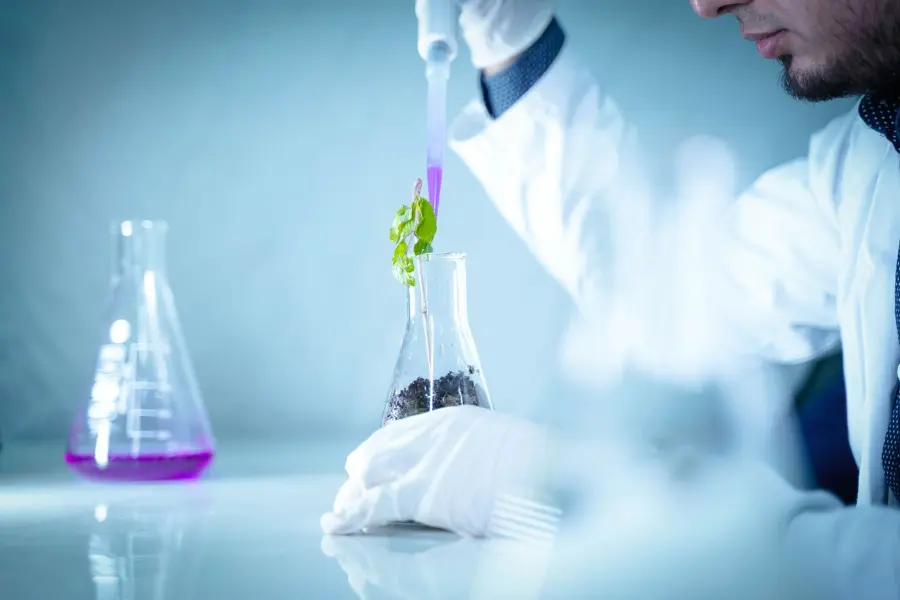 Padova lancia MedTech e TECAR per la sanità del futuro