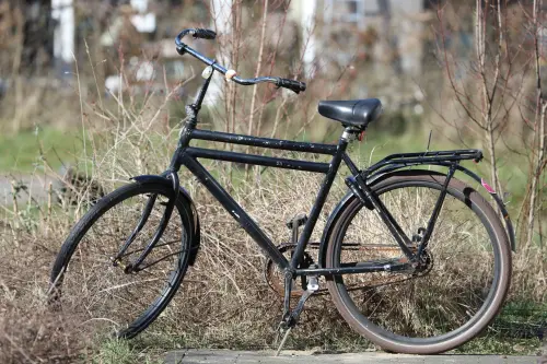 Padova, mobilità sostenibile: più bus e parcheggi bici sicuri