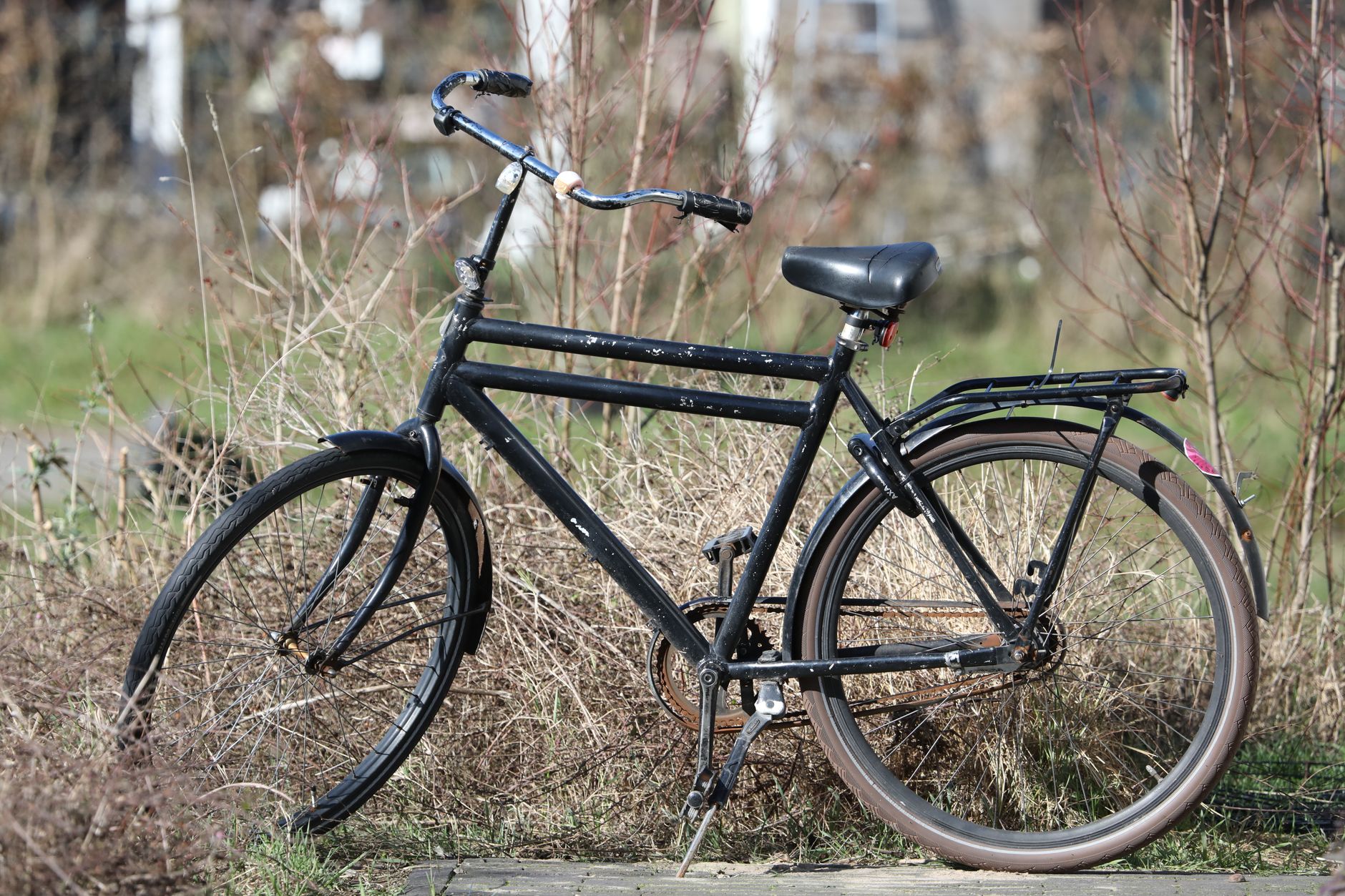 Padova, mobilità sostenibile: più bus e parcheggi bici sicuri