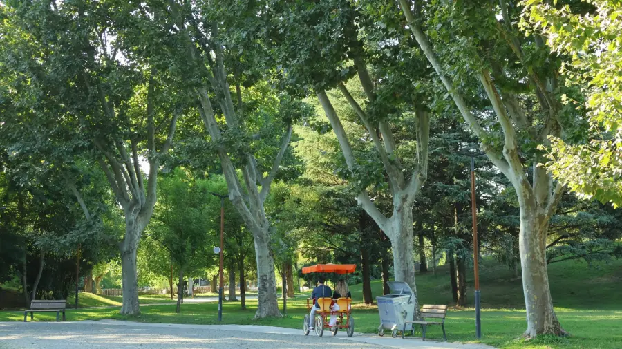 Padova, nuova gestione per il parco inclusivo Albero del Tesoro