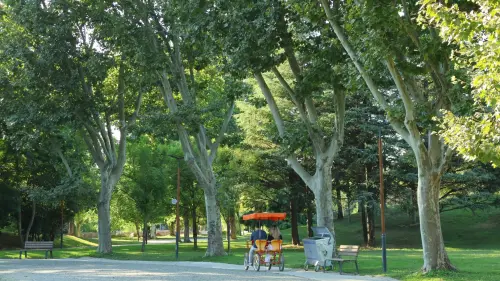 Padova, nuova gestione per il parco inclusivo Albero del Tesoro