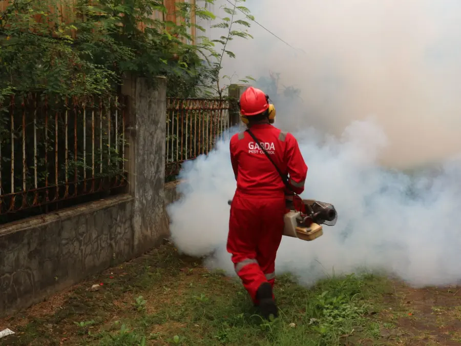 Dengue a Padova, disinfestazione straordinaria in sei vie