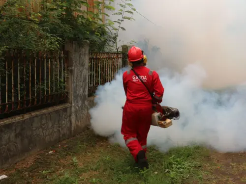 Dengue a Padova, disinfestazione straordinaria in sei vie